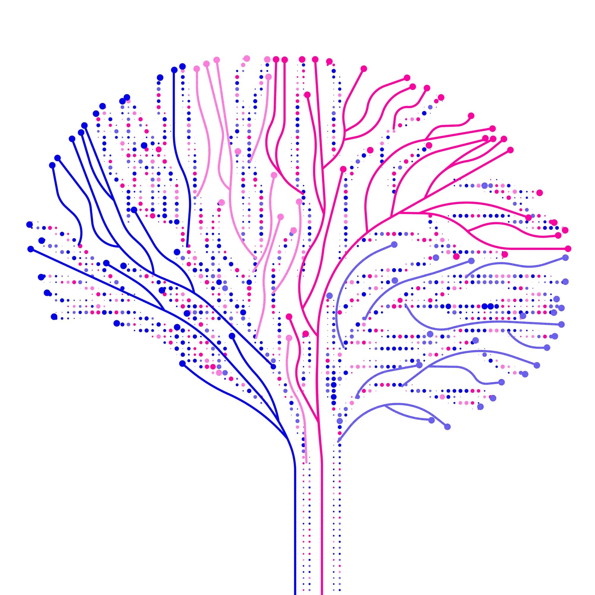 Cell Map of a Mammalian Brain