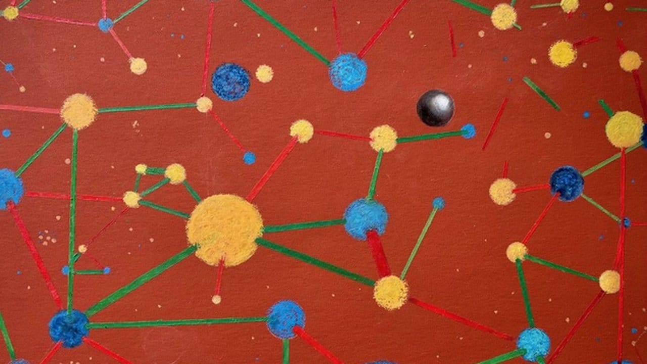 Networks of Beliefs Theory