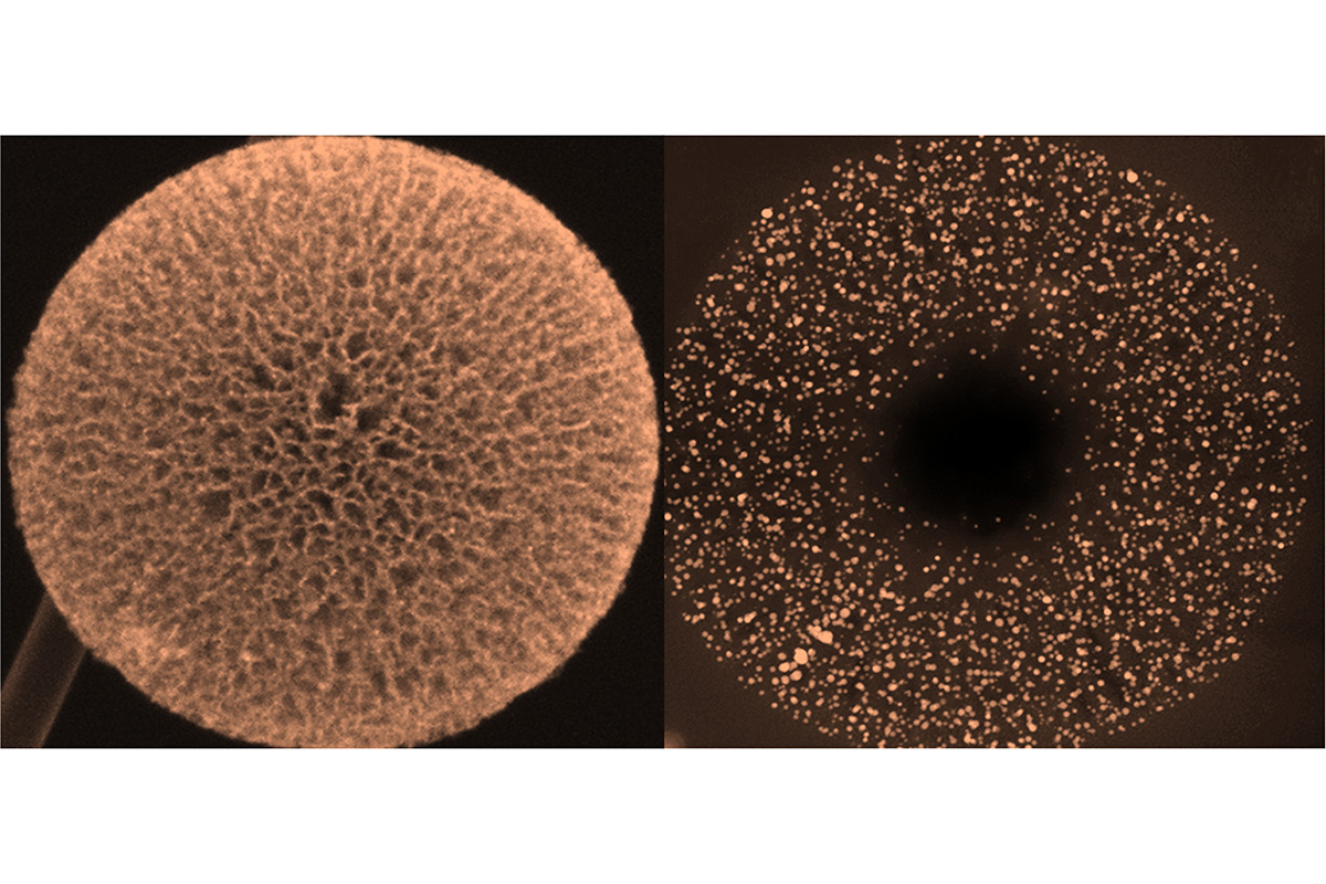 hollow nanocarbon spheres containing an ordered radial nanochannel array to be used as supports in their new design for high-performance intermetallic nanoparticle fuel cell catalysts.