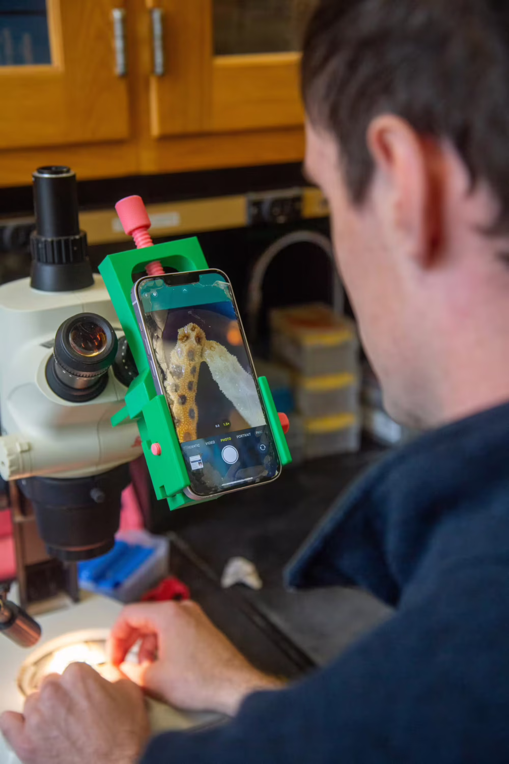 To document coral recovery, Collins attached a phone to a microscope using a 3D-printed device designed by Tom Rolander, a research engineer in the Fabrication Lab at Hopkins Marine Station.