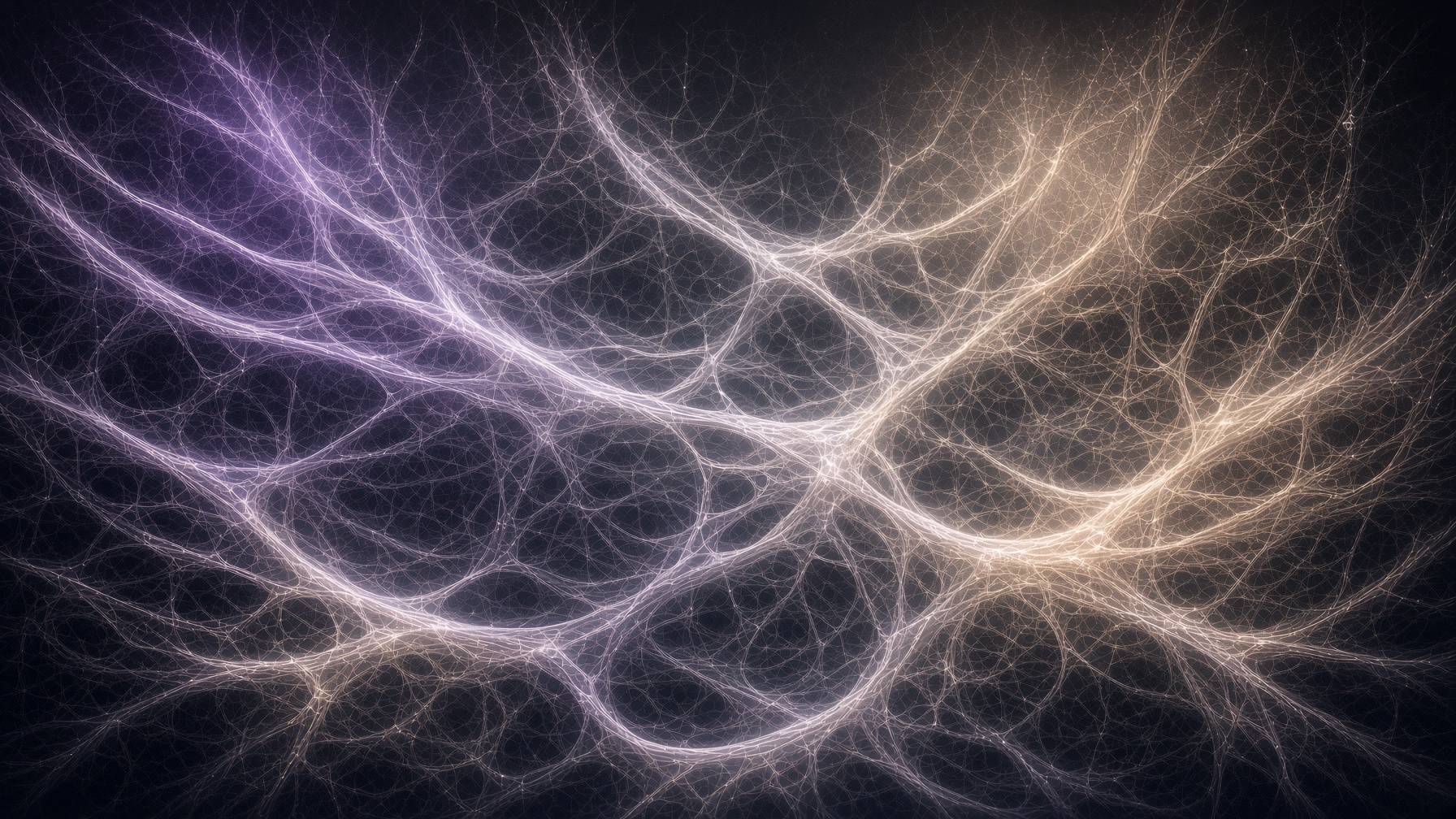 Interconnected mycelium web
