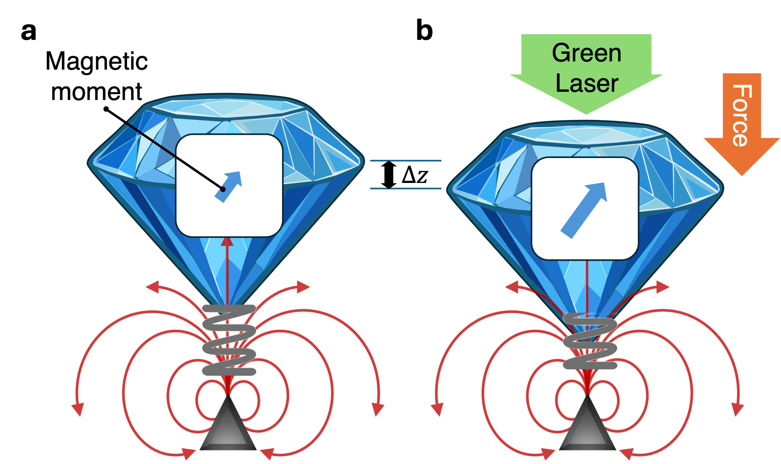 A graphical representation of the observed movements. a) When the laser is off, the diamond slab has a small magnetic moment (blue arrow) induced by the latent spin-state inside the nitrogen-vacancy centers of the diamond. b) When the green laser is on, the spin-state is polarized, causing the magnetic moment to fluctuate weakly, pushing the diamond down towards the magnetic field (red arrows). The amount of movement is labeled as displacement (Δz).