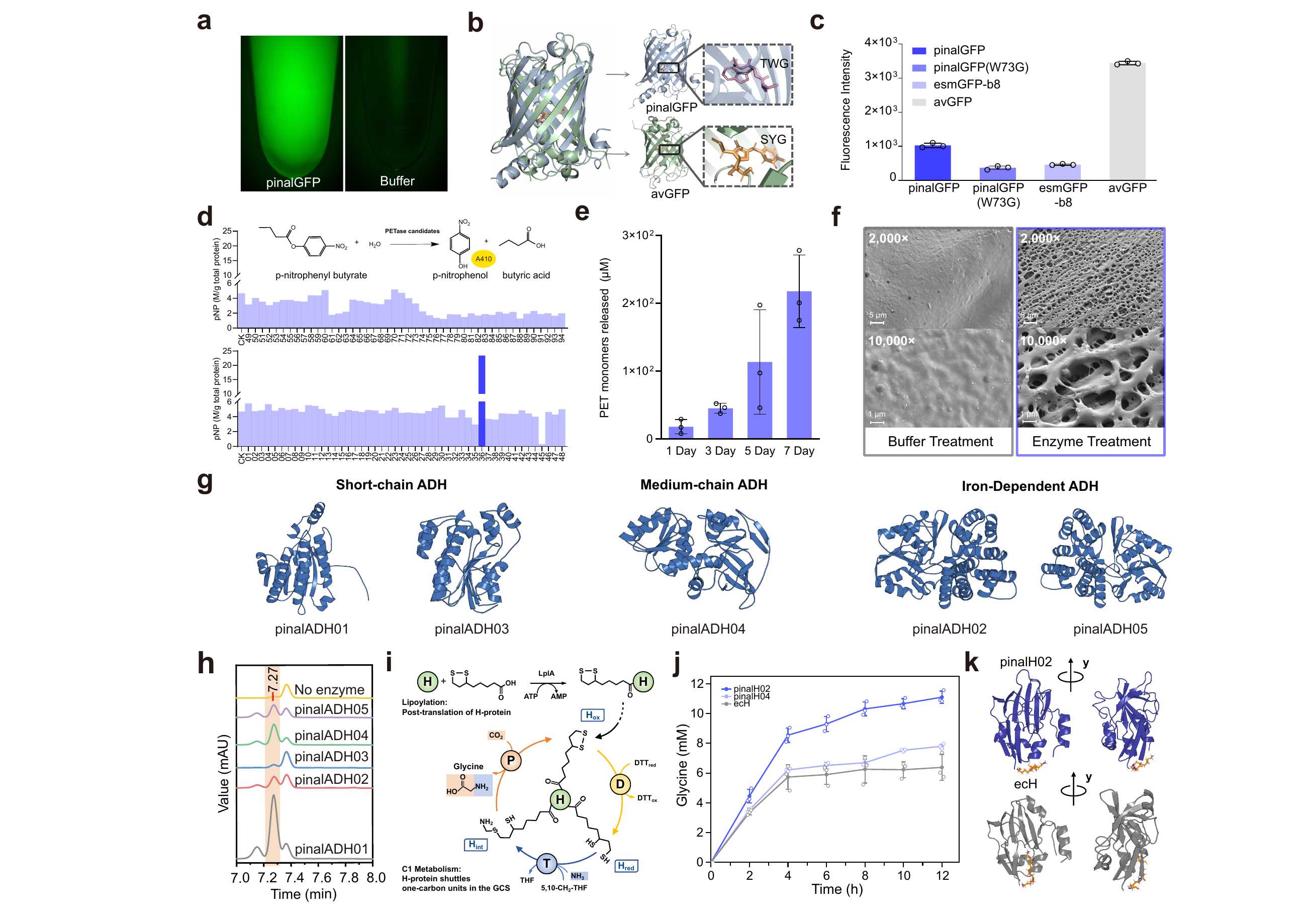 Experimental validation confirms the functions of Pinal-designed proteins across four tasks.