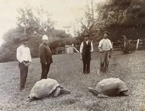Jonathan (left) arrived in St Helena in 1882.
